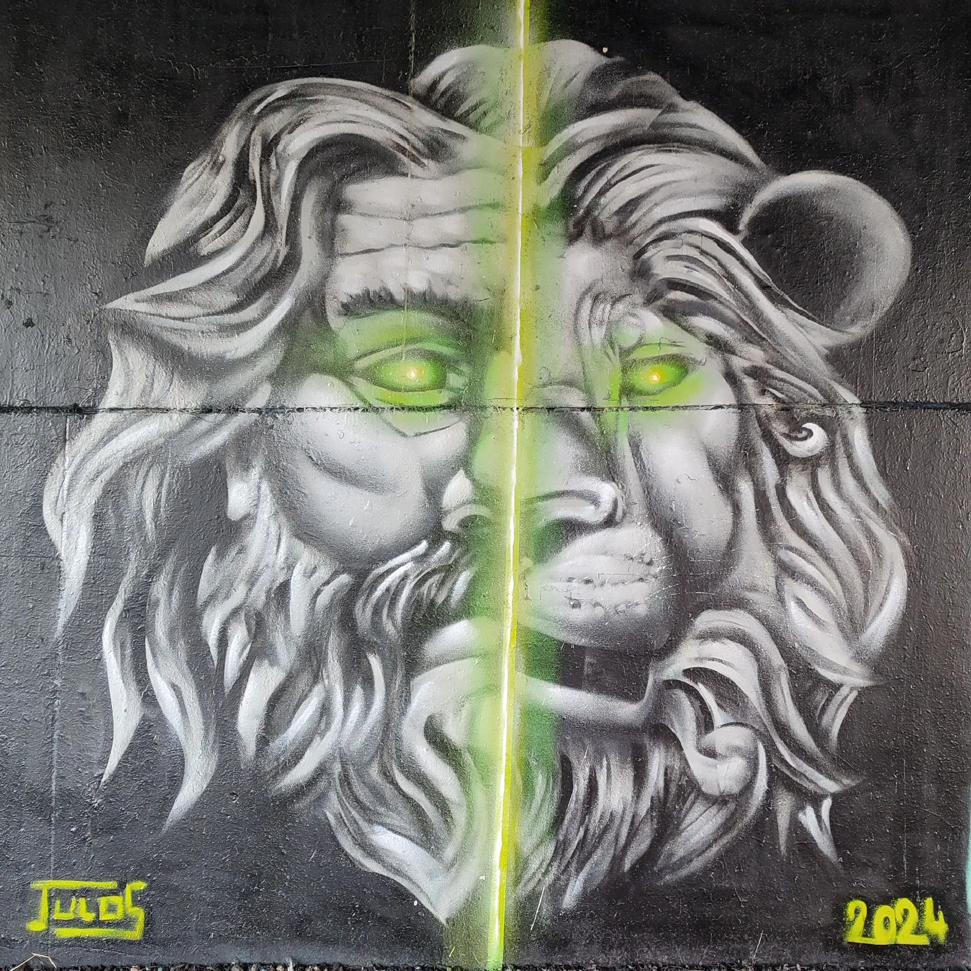 #king-vision